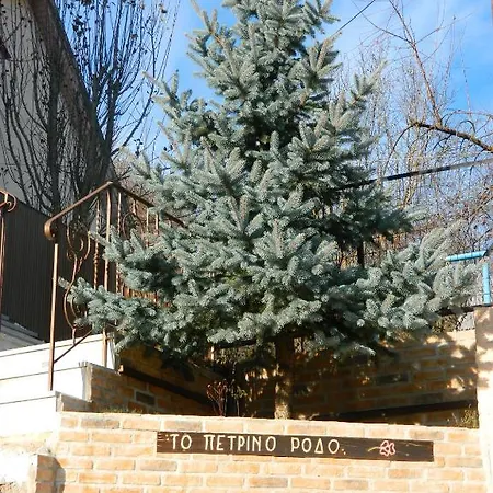 Petrino Rodo