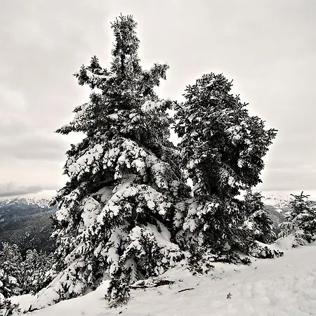 Lägenhet Petrino Rodo Karpenísion