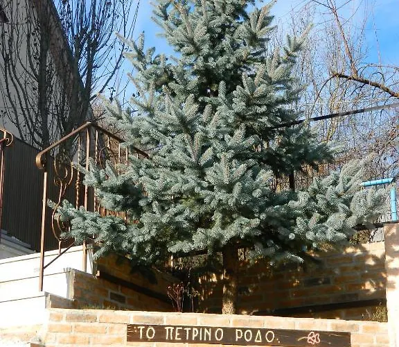 πέτρινο ρόδο