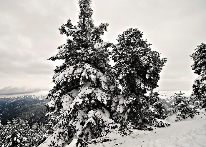 Διαμέρισμα πέτρινο ρόδο Καρπενήσι